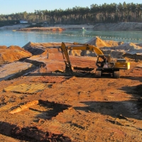 Establishing of permanent plots Cep II - chessboard