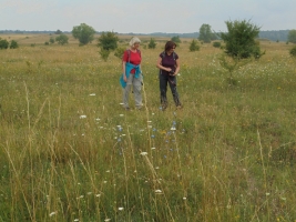 Anita Kirmer and Sabine Tischew