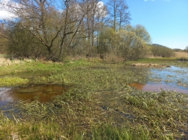 Mnišské meadows