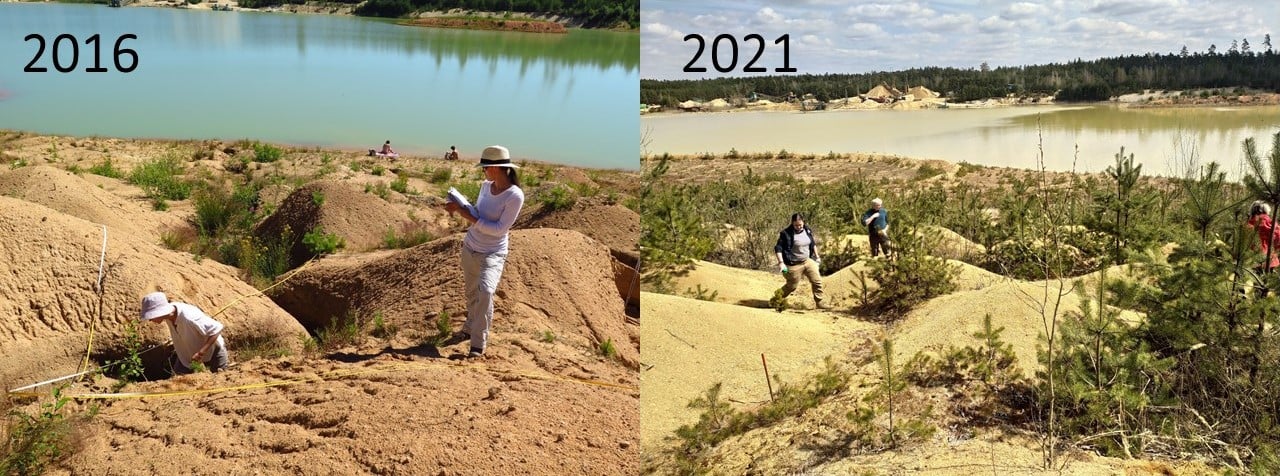 Experimental hills - they effectively slow down the succession! During a sunny day, you can still hear buzzing.