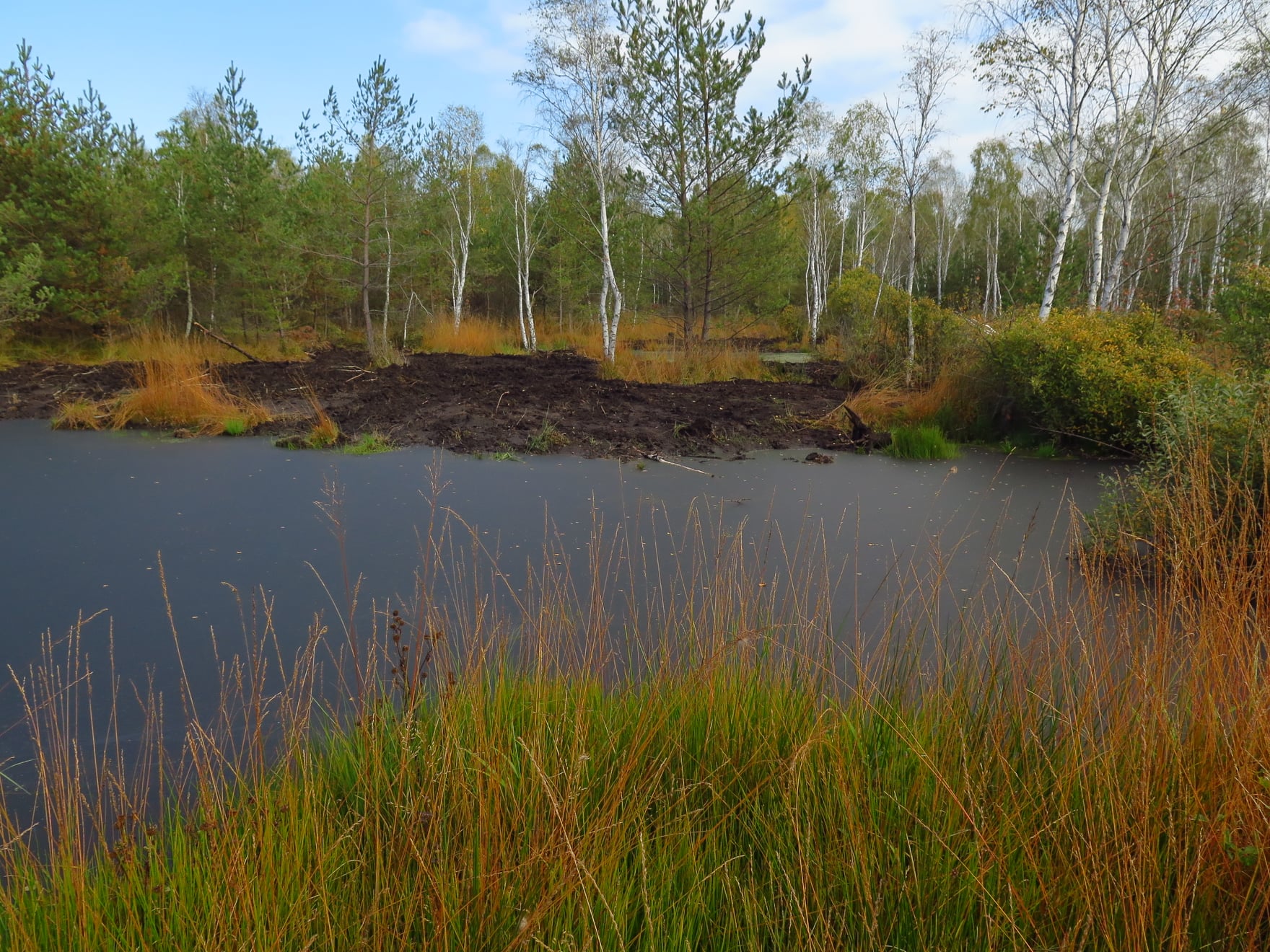 Borkovice - newly created water pools
